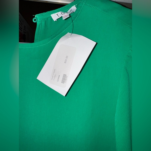 TCEC Green Ruffle Dress - Picture 3 of 3